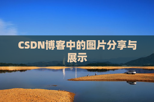 CSDN博客中的图片分享与展示